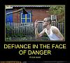 Klicke auf die Grafik für eine größere Ansicht 

Name:	demotivational-posters-defiance-in-the-face-of-danger.jpg 
Hits:	207 
Größe:	36,6 KB 
ID:	10531